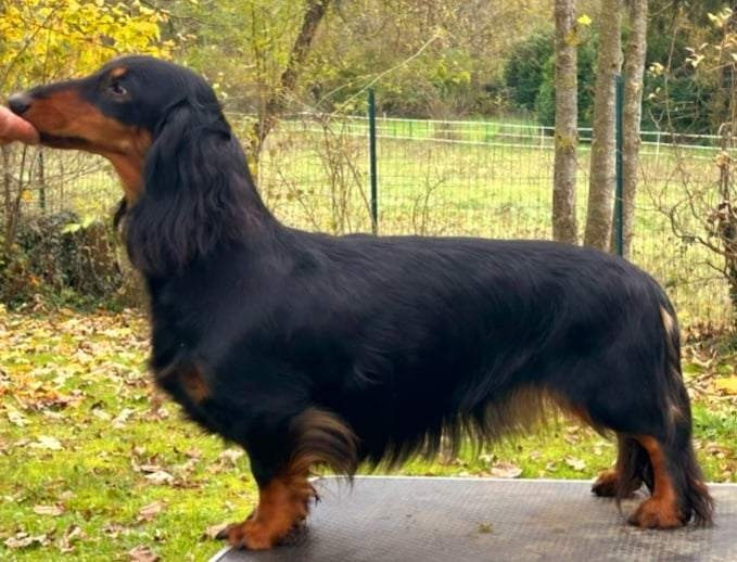 Uzee Von lawranshome